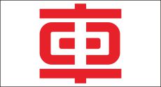 技术实力